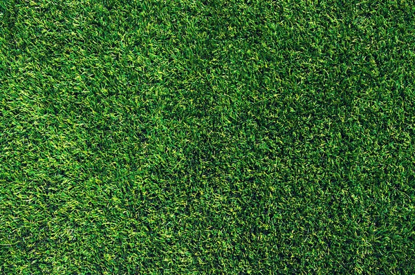 Achtergrond van een gras — Stockfoto