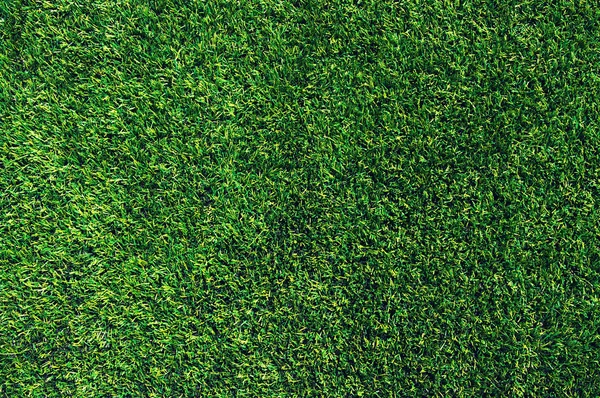 Background of a grass — Stock Photo, Image