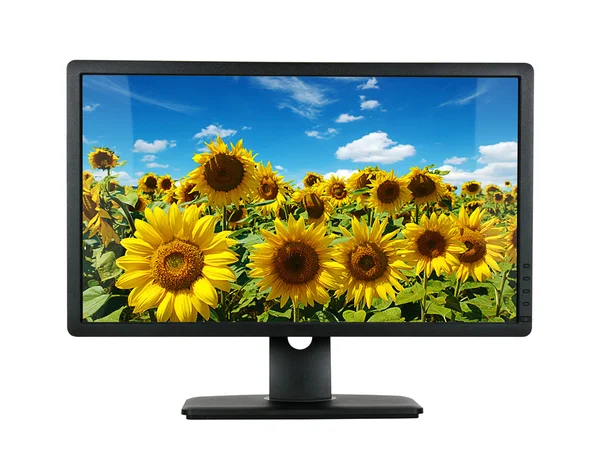 Monitor de computador isolado em branco — Fotografia de Stock