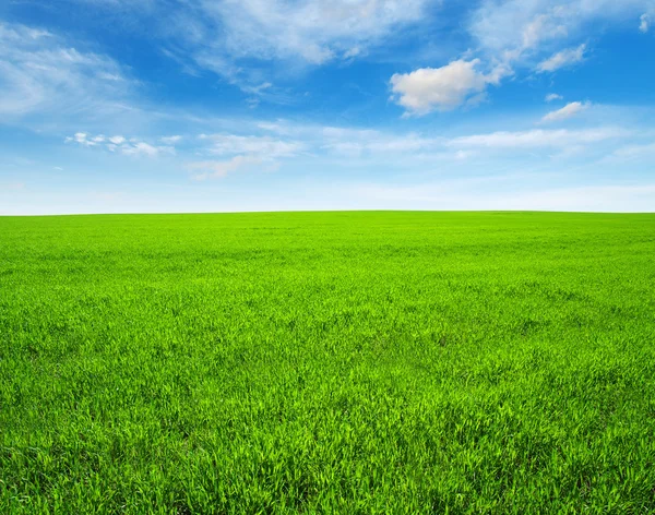 Campo e céu — Fotografia de Stock