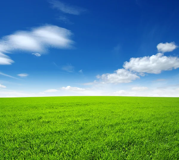 Campo e céu — Fotografia de Stock