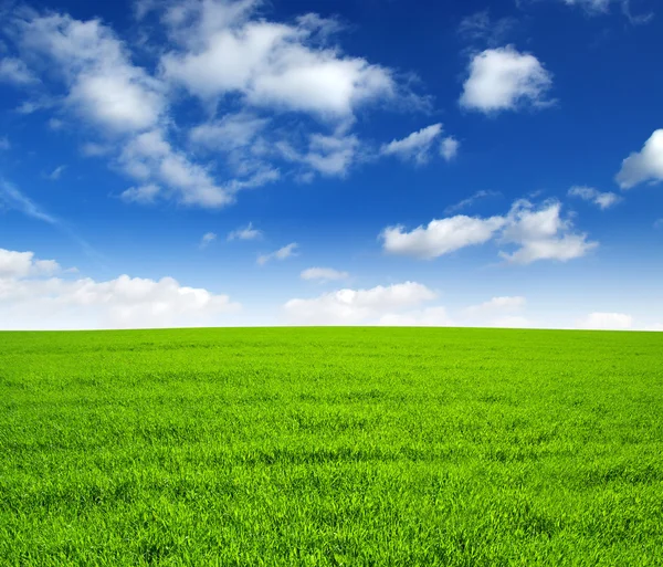 Campo e cielo — Foto Stock