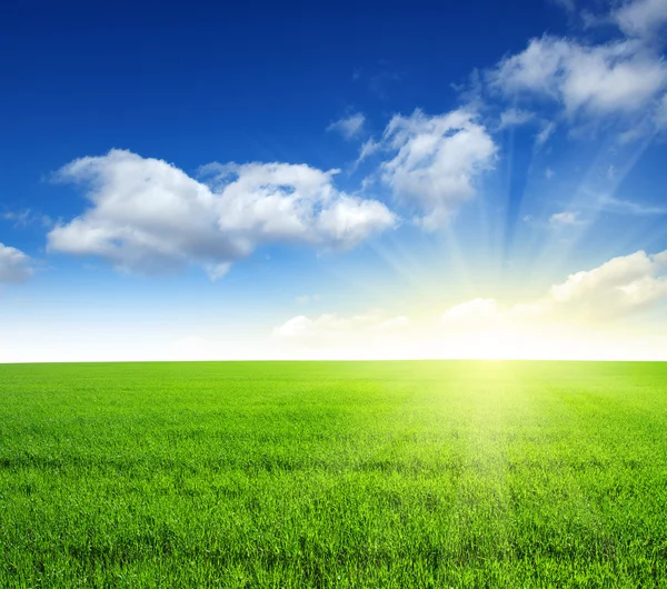 Field and sky — Stock Photo, Image