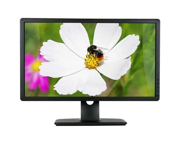 Počítačový monitor izolované na bílém — Stock fotografie
