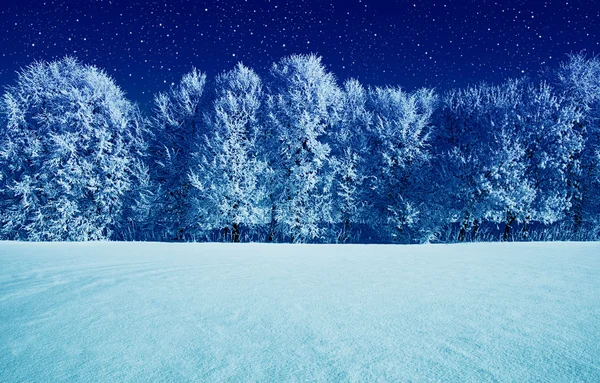 Frosted trees on sky — Stock Photo, Image
