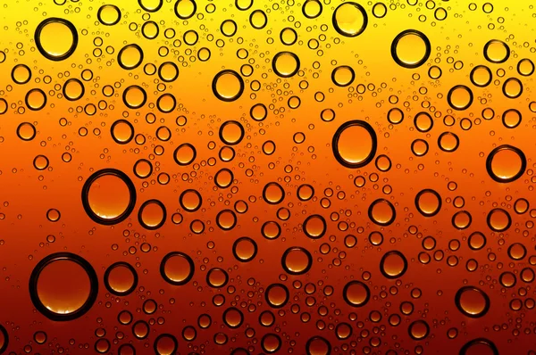 Drops on glass — Stock Photo, Image