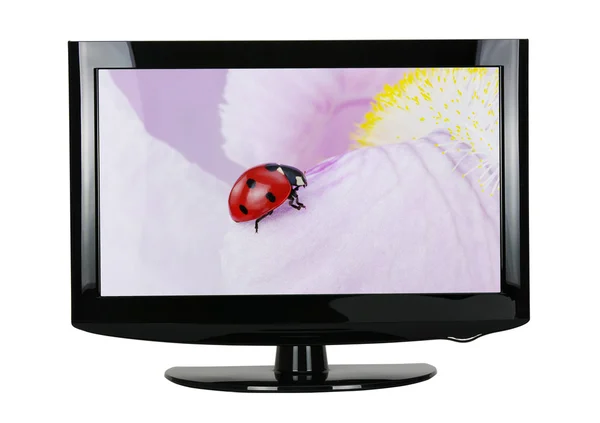 TV na biały — Zdjęcie stockowe