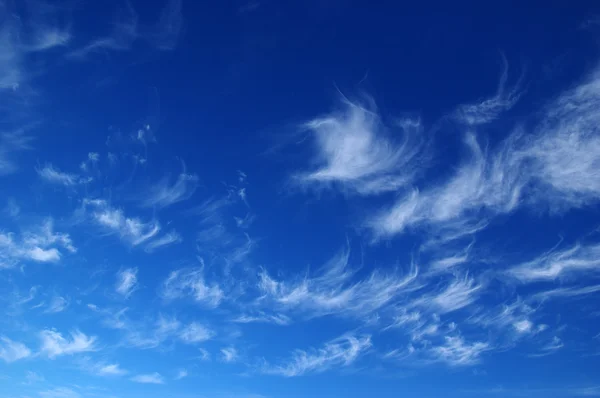 Cielo azul y nubes blancas — Foto de Stock