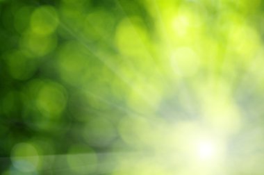 yeşil arka plan bulanık