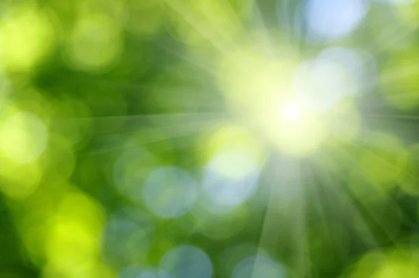 Green blurred background — Stock Photo, Image