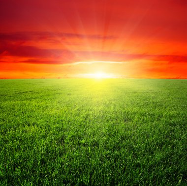 yeşil alan ve gökyüzü