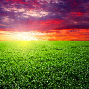 yeşil alan ve gökyüzü