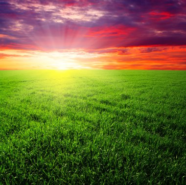 yeşil alan ve gökyüzü