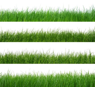 arka planı yeşil çimen