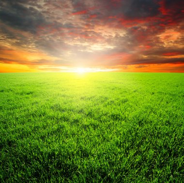 yeşil alan ve gökyüzü