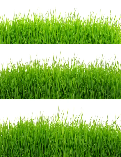 绿草的背景 — 图库照片