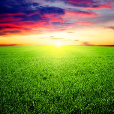 yeşil alan ve gökyüzü