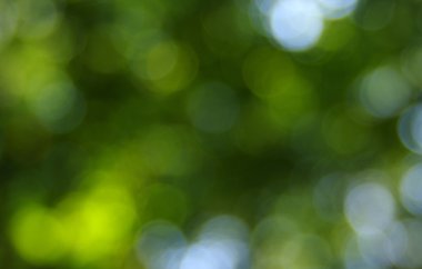 Soyut Işık Arkaplanı