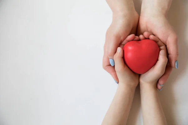 Corazón en las manos sobre fondo claro. Formación sanitaria. —  Fotos de Stock