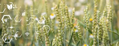 Akıllı tarım ve modern teknoloji kavramı