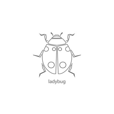 Uğur böceği beyaz üzerinde ince düz tasarım