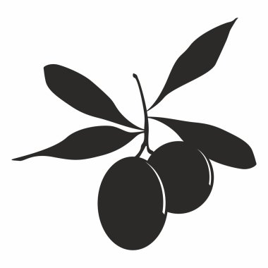 Zeytin vektör çizim
