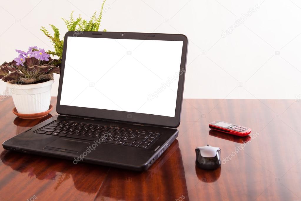 Open laptop with isolated screen