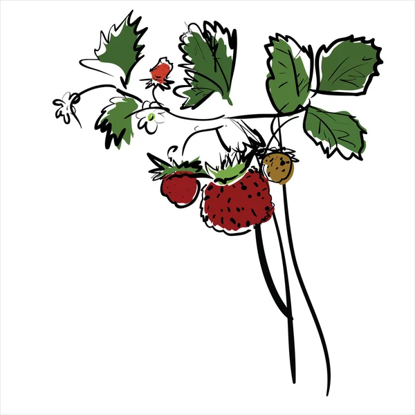 Karikatur Rote Erdbeere — Stockvektor