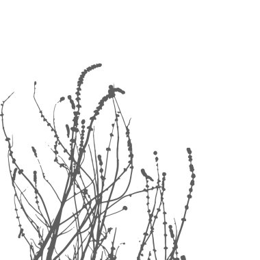 Vektör yabani otlar