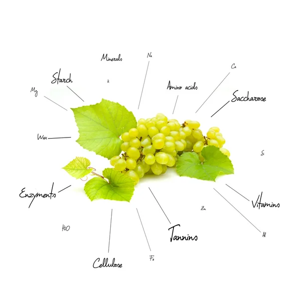Composición química de las uvas — Foto de Stock