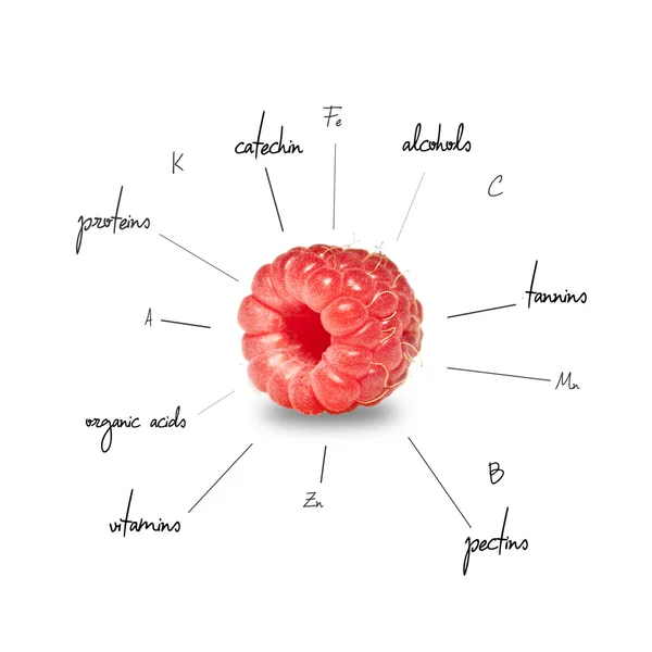 Die chemische Zusammensetzung der Himbeere — Stockfoto