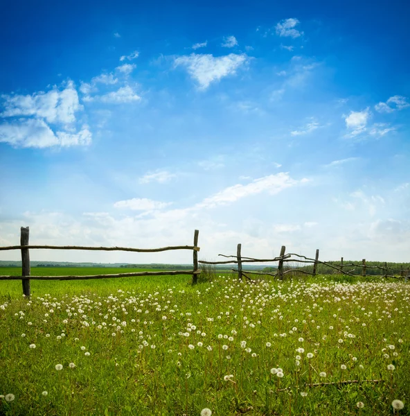 Groene dorp landschap — Stockfoto