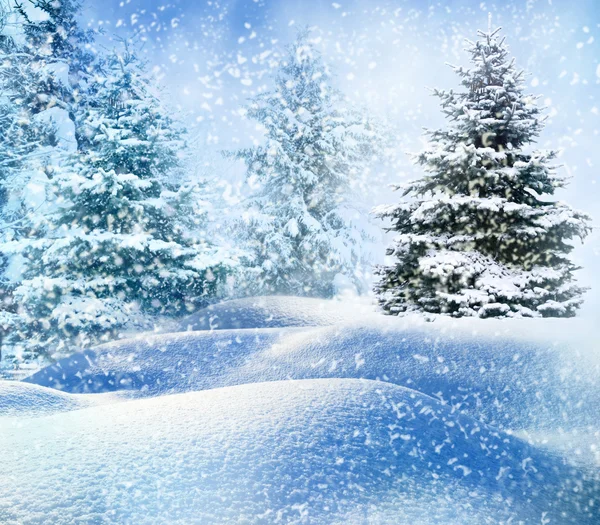 Albero di Natale nella neve — Foto Stock