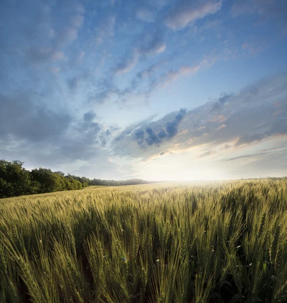 Paisagem — Fotografia de Stock