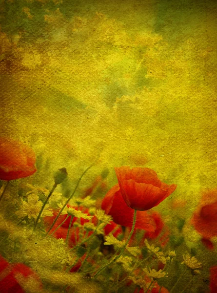 Grunge coquelicots — Photo