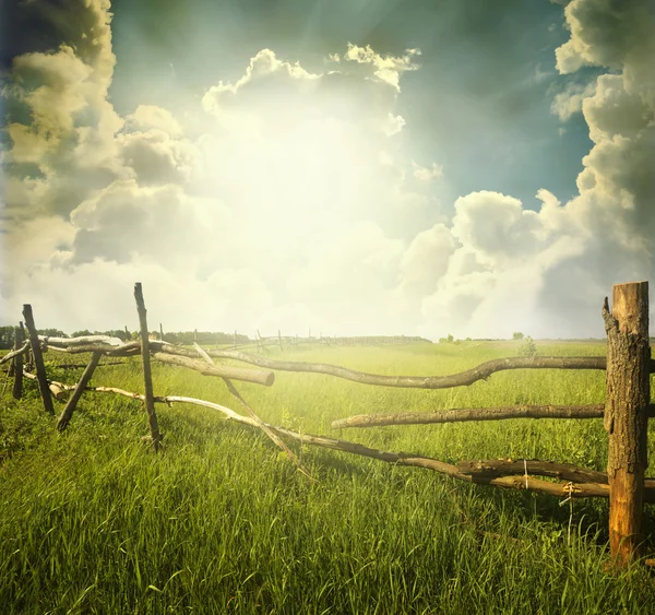 Grönt fält under blå himmel — Stockfoto