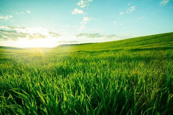 Prado verde com nuvens — Fotografia de Stock