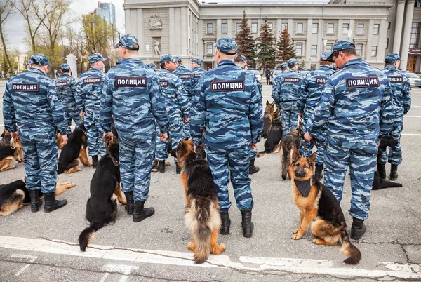 Российская милиция в форме с полицейскими собаками — стоковое фото