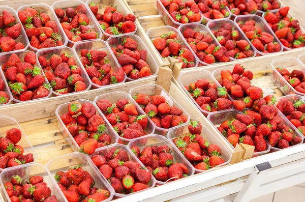 Fresh red strawberries arranged in baskets ready for sale at the — Stock Photo, Image