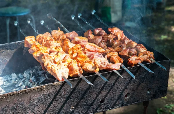 Appetizing hot shish kebab on metal skewers — Stock Photo, Image