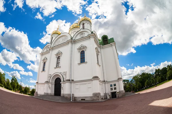 Rybie oko widok na Katarzyny katedry w mieście Puszkin w lecie — Zdjęcie stockowe
