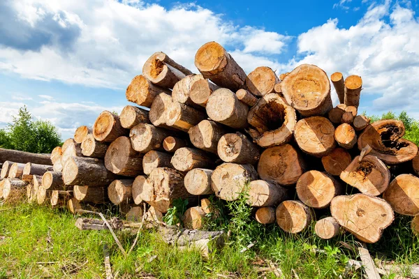 Pile di legname lungo la strada forestale in estate — Foto Stock