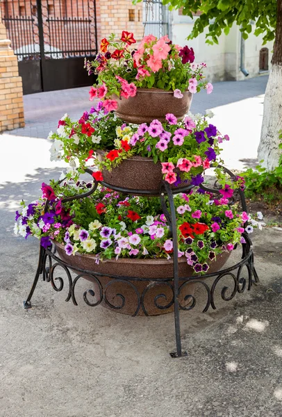 Stor kruka med blommor på soliga staden gatan — Stockfoto