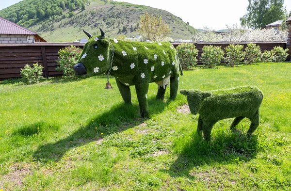 ロシアのシラヤエヴォ 2019年5月15日 屋外での装飾組成牛と子牛 — ストック写真
