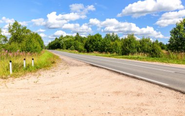 Asfalt yolda, ağaçların arasında güneşli bir yaz gününde.
