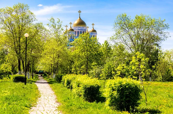 Golden Domes Orthodox Church Trees City Park Church Our Lady — Stock Photo, Image