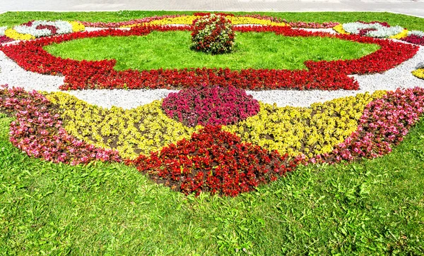 Cama Flores Con Diferentes Flores Colores Calle Ciudad Día Soleado — Foto de Stock