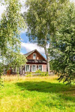 Yazın güneşli bir günde terk edilmiş bir Rus köyünde eski bir ahşap ev. Rusya, Novgorod bölgesi