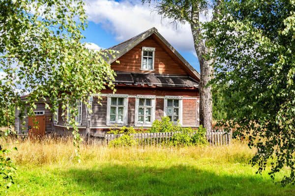 Old rural wooden house in abandoned russian village in summer sunny day. Russia, Novgorod region