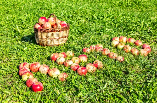 Cesta Mimbre Madera Con Manzanas Frescas Maduras Sobre Hierba Verde — Foto de Stock